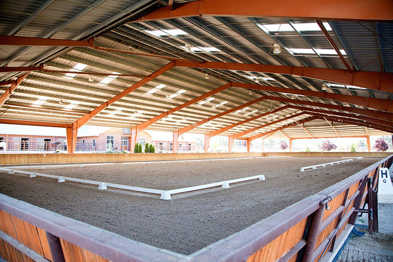 Templeton Farms Equestrian - Sporthorse - Breeding, Training and Sales